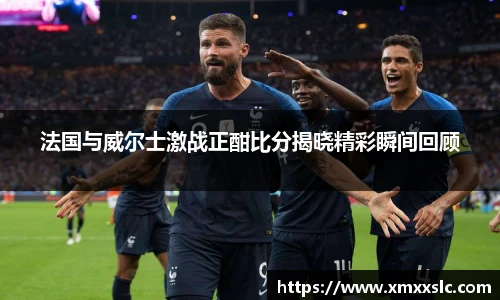 法国与威尔士激战正酣比分揭晓精彩瞬间回顾