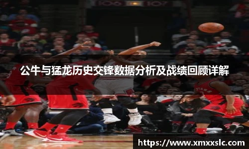公牛与猛龙历史交锋数据分析及战绩回顾详解